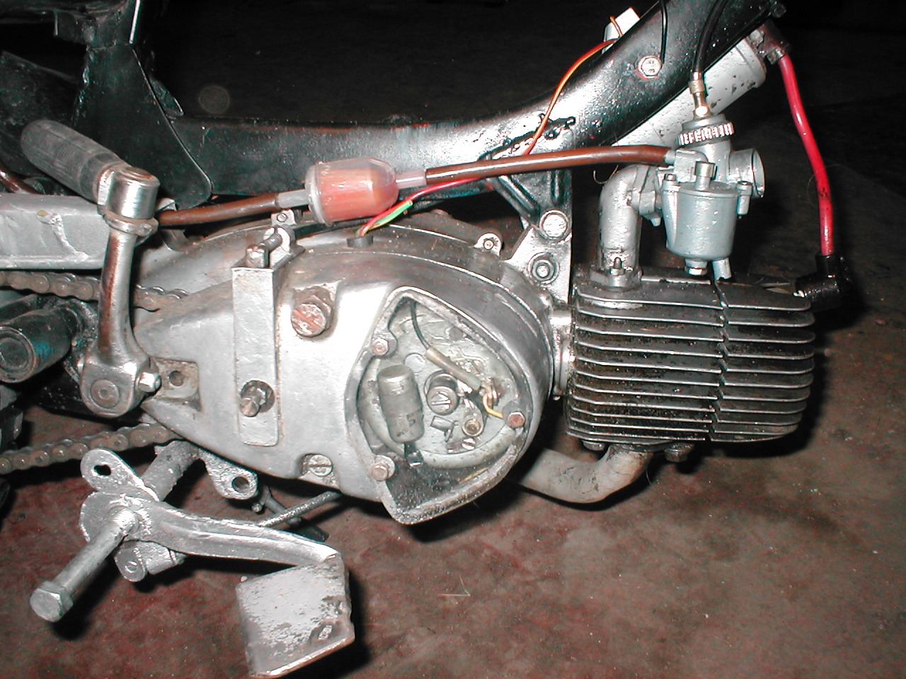 P1010043.JPG